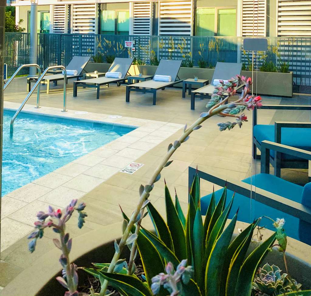 Hotel Mariposa Los Angeles - photo 15