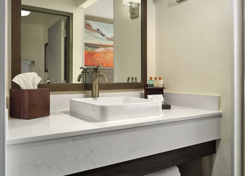 Buena Vista Suites Orlando - photo 25