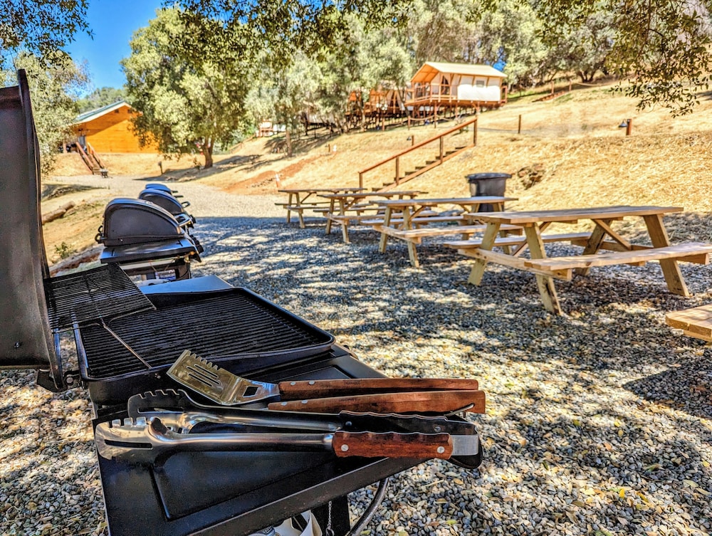 Wildhaven Yosemite Glamping - photo 46