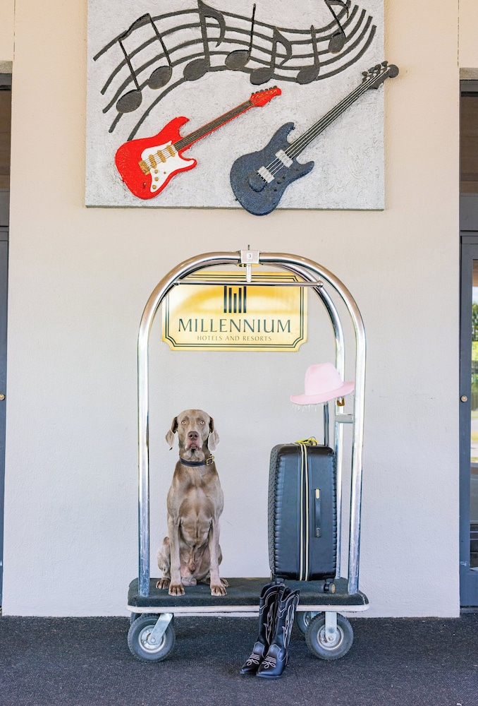Millennium Hotel Maxwell House Nashville - photo 151