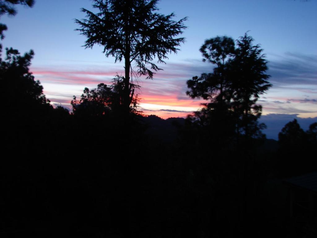 Elphinstone Himalayan Resort in Almora, India