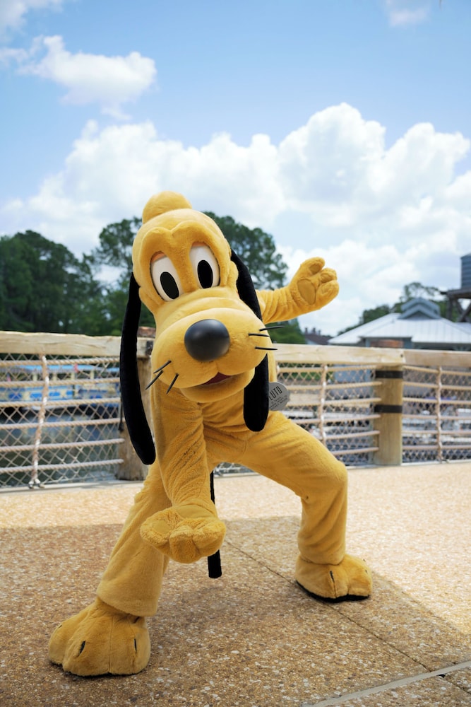 Disney's Port Orleans Riverside - photo 13