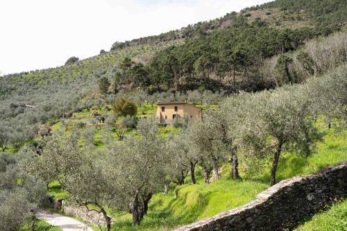 Podere Del Pari — Calci — photo 4