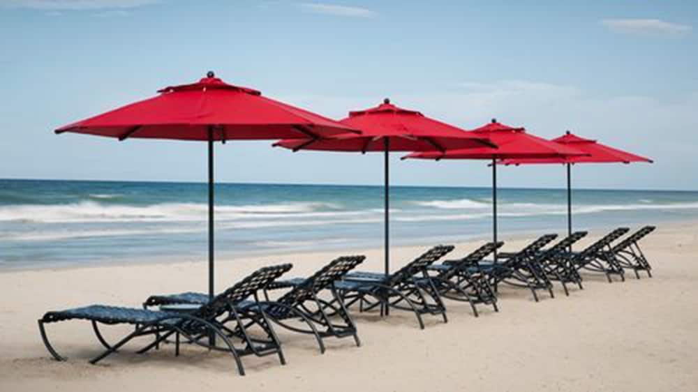 Ld Plus Palm Beach in La Plaza Paraguachi, Venezuela