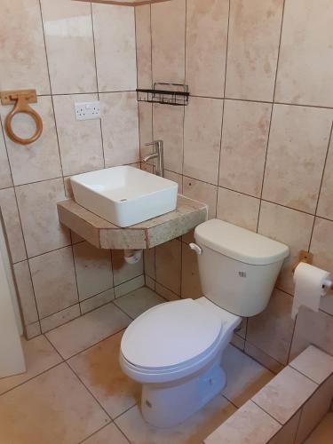 Golden Palms Apartment — Kingstown — photo 5
