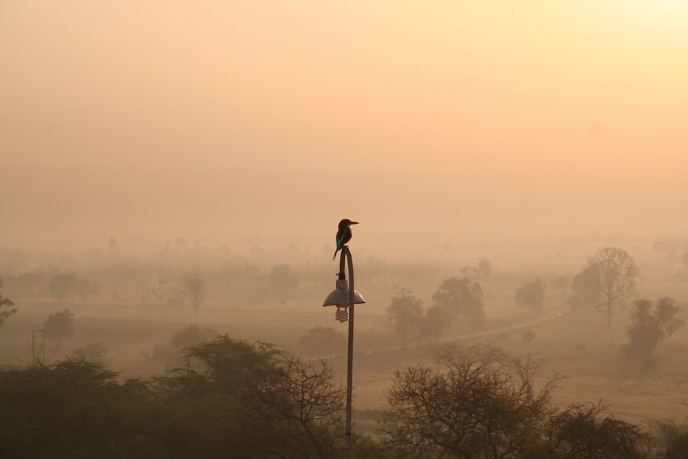 Aamod Mudfort Kuchesar — Bulandshahr — photo 5