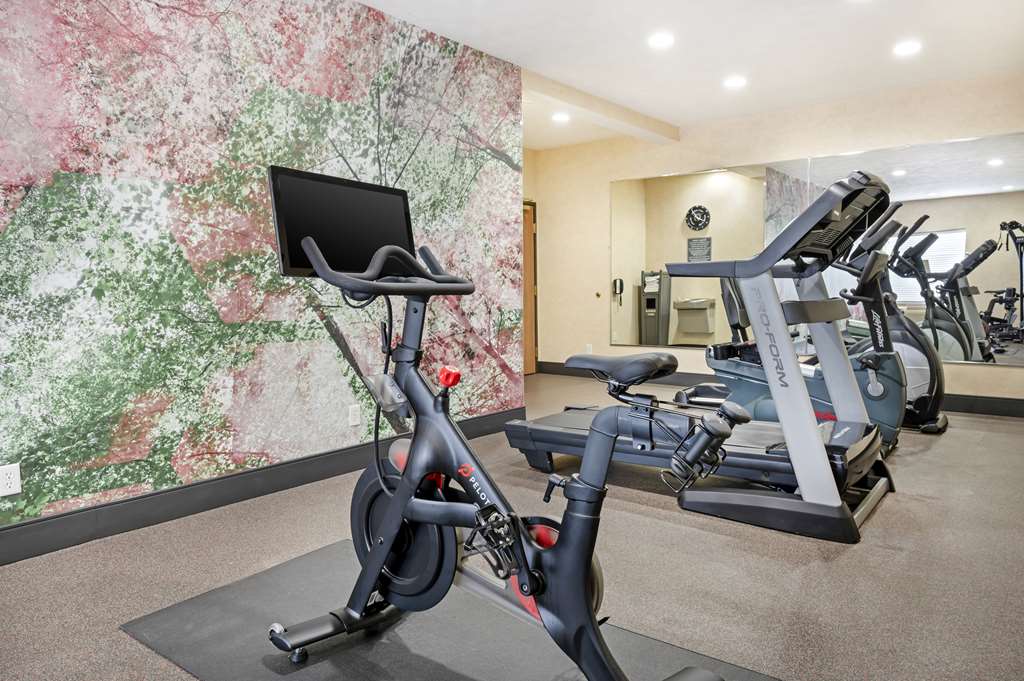 Best Western Plus Howe Inn - photo 7