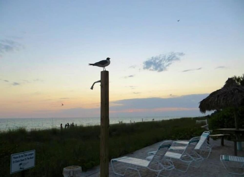 Coconuts Beach Resort - photo 161