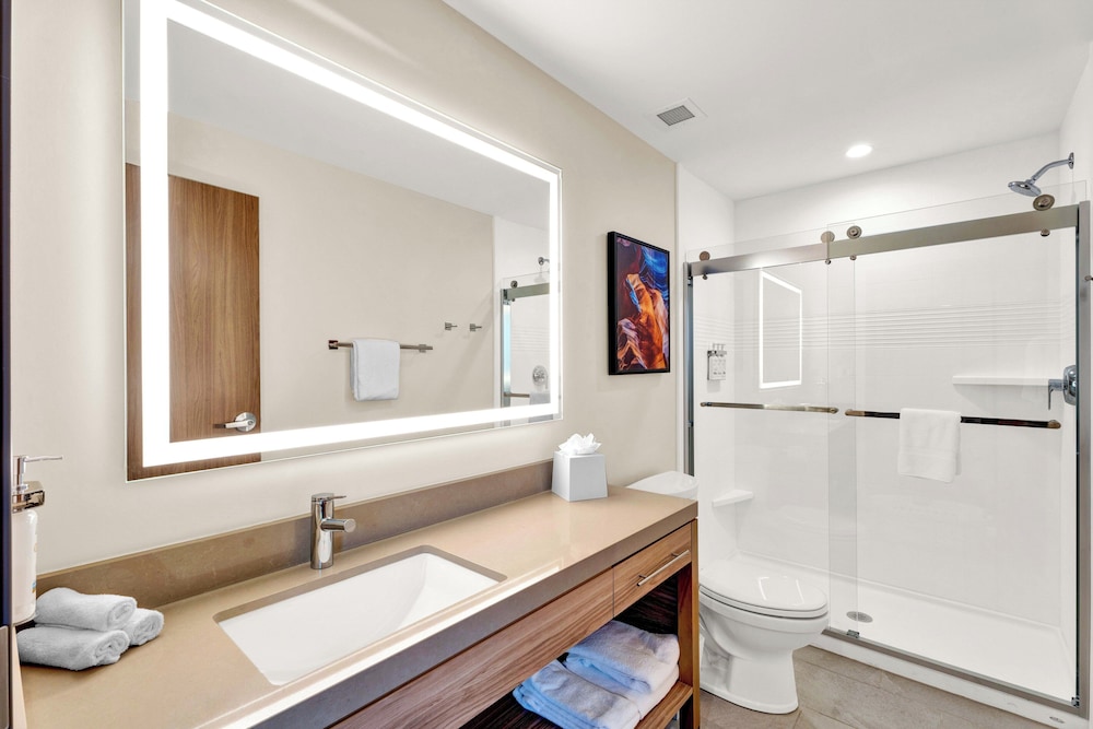 Candlewood Suites Detroit Auburn Hills by IHG - photo 60