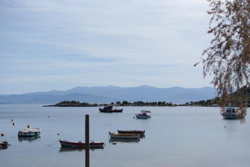 Seaside Resort — hotel in Volos