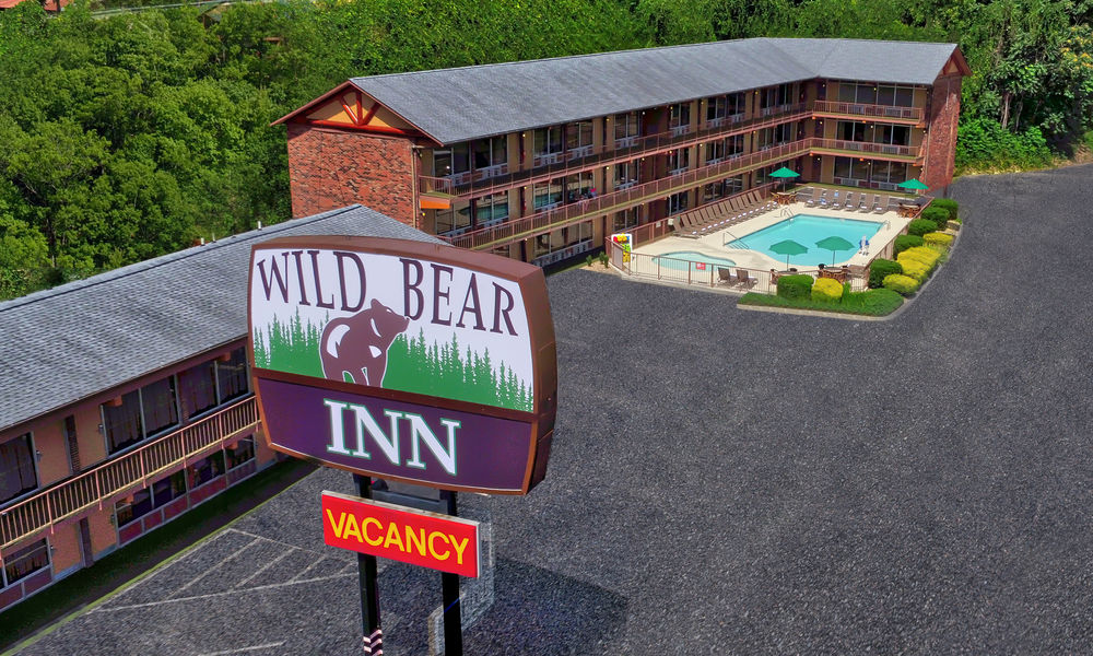 Wild Bear Inn - photo 2
