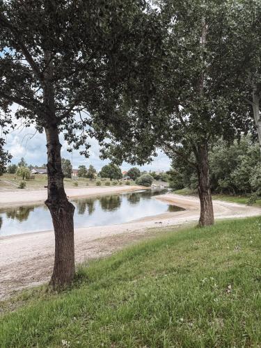 Sobri Halászcsárda és Panzió — Baja — photo 2