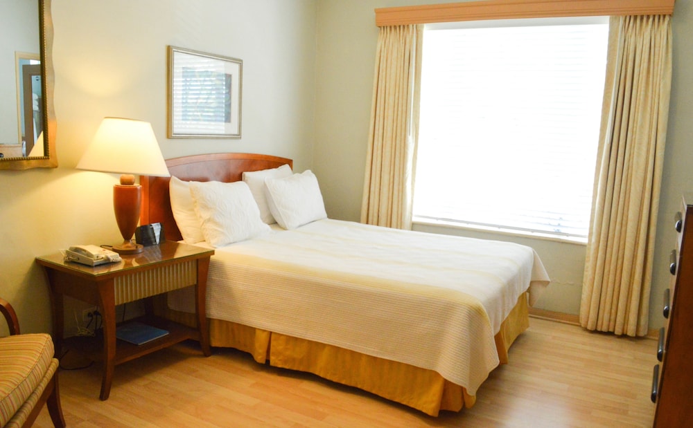 Viscay Hotel - photo 3