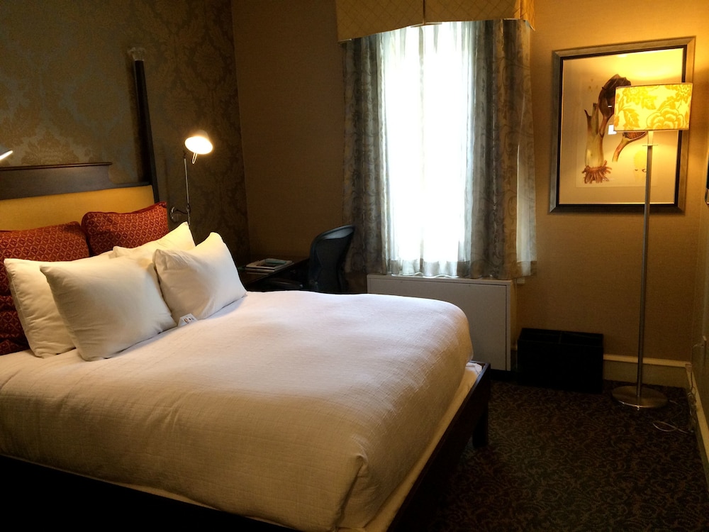 Chestnut Hill Hotel - photo 5