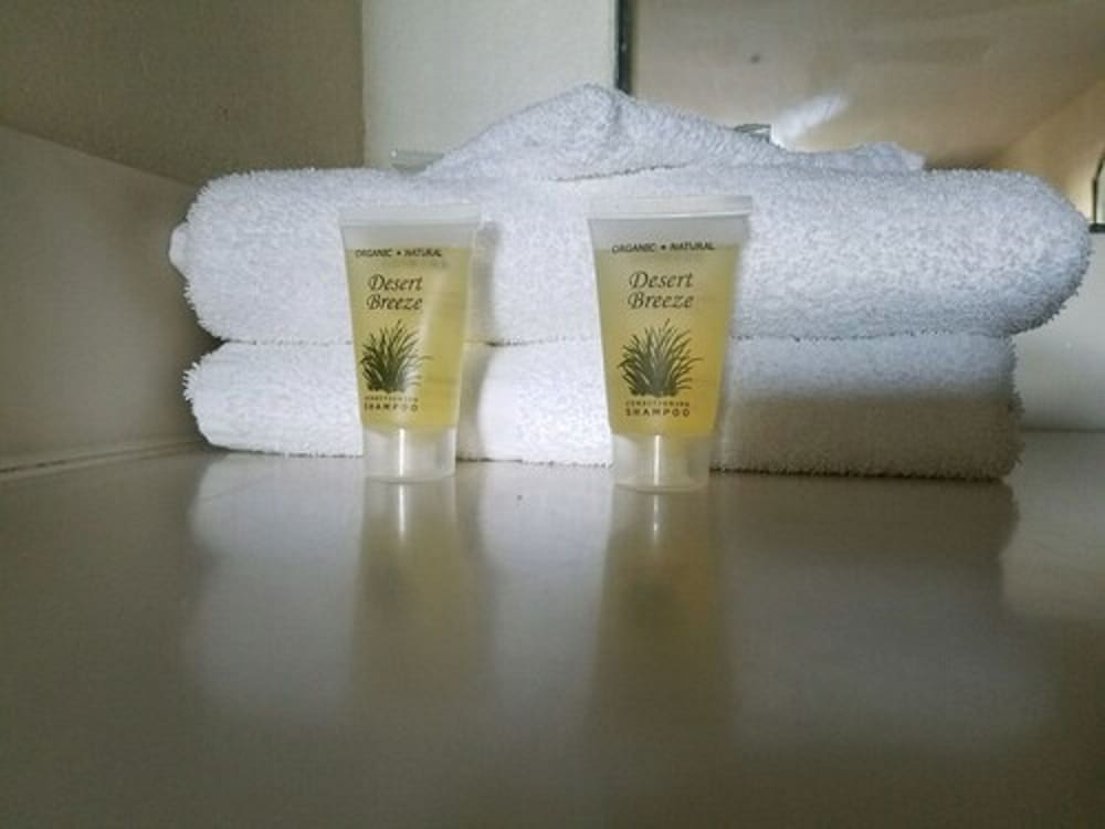 Midtown Hotel Downtown New Orleans - photo 12