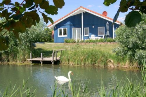 6 Personen Ferienhaus mit privatem Bootsteg direkter Seelage Kanu Sauna und Badewanne in Otterndorf in Otterndorf, Germany