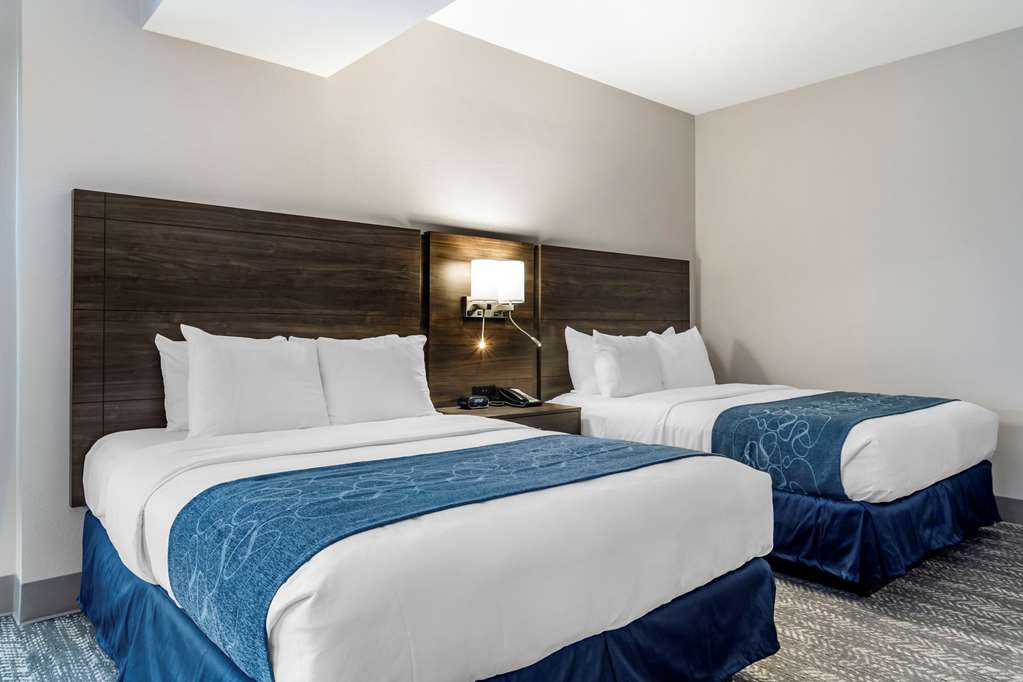 Comfort Suites McDonough Atlanta South - photo 5