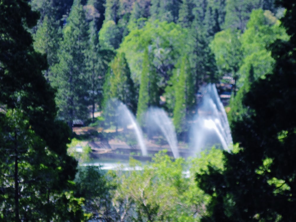 The North Shore Inn - photo 105