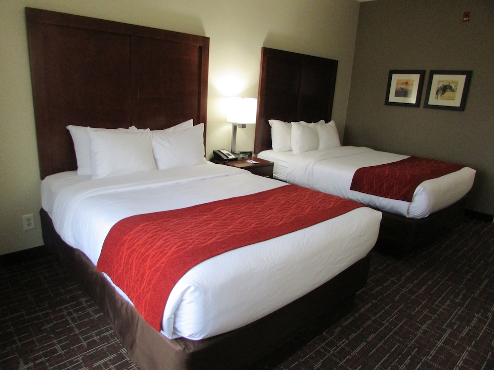 Comfort Inn Wichita Falls Near University - photo 9