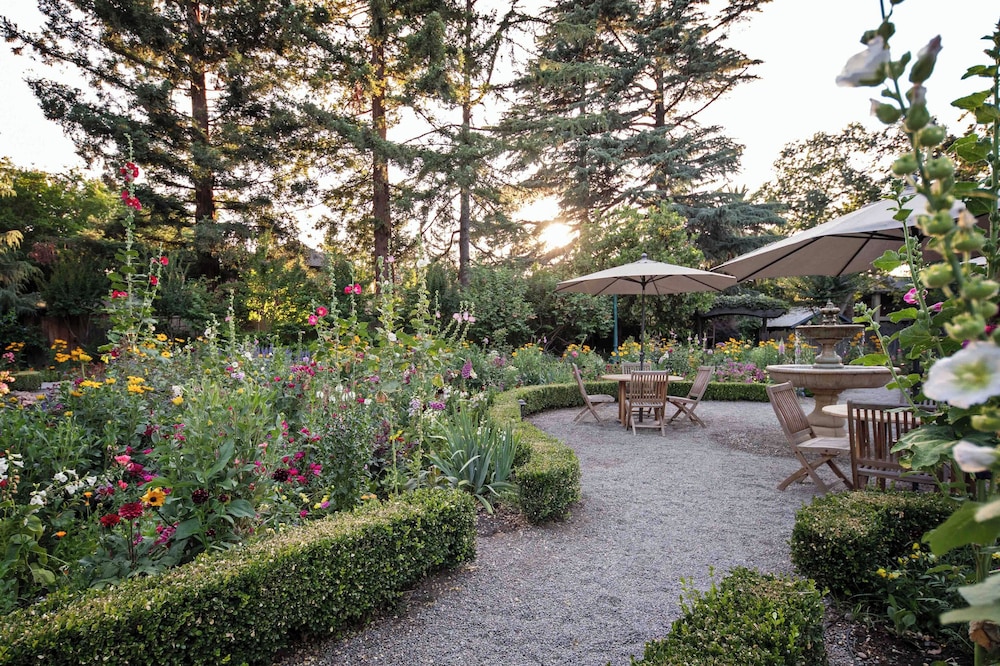 Appellation Lodi Wine & Roses Resort & Spa - photo 21