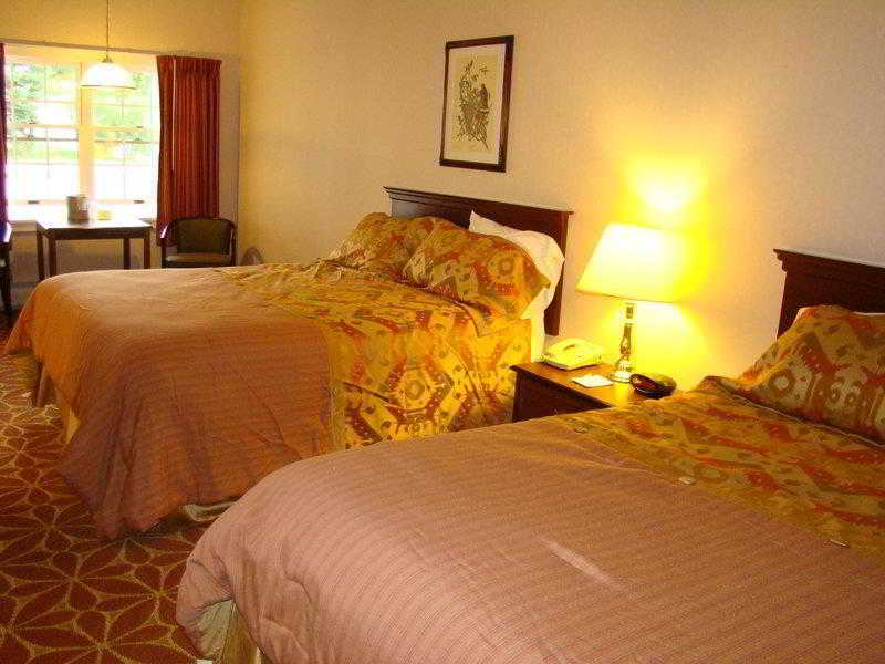 Ludlow Colonial Motel - photo 6
