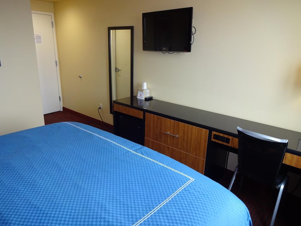 Hotel Bliss - photo 16