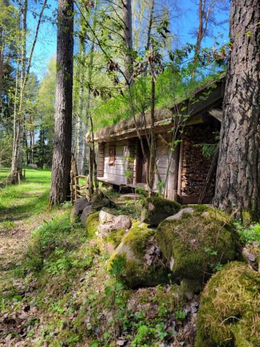 Timmerstugan i skogen — hotel in Tibro