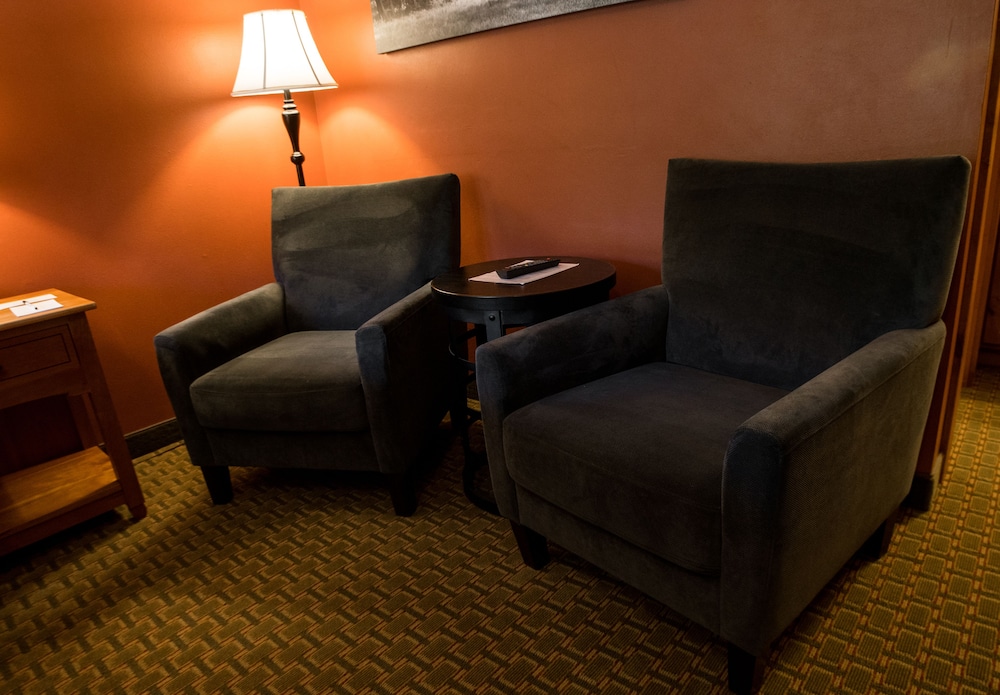 Silver Moon Inn - photo 17