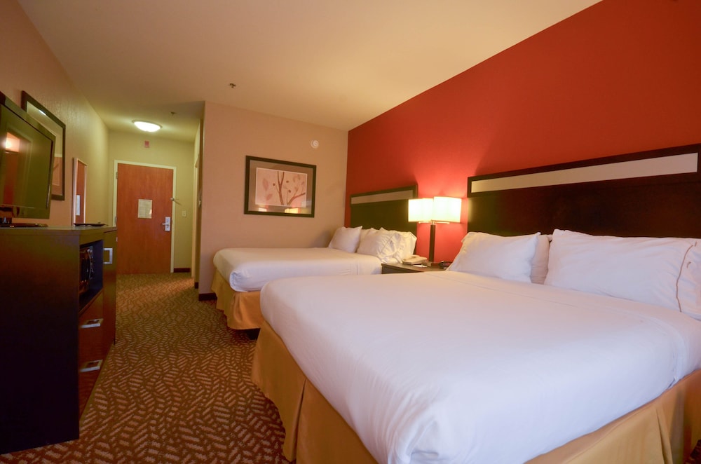 Holiday Inn Express Hotel & Suites Pine Bluff Pines Mall by IHG - photo 11