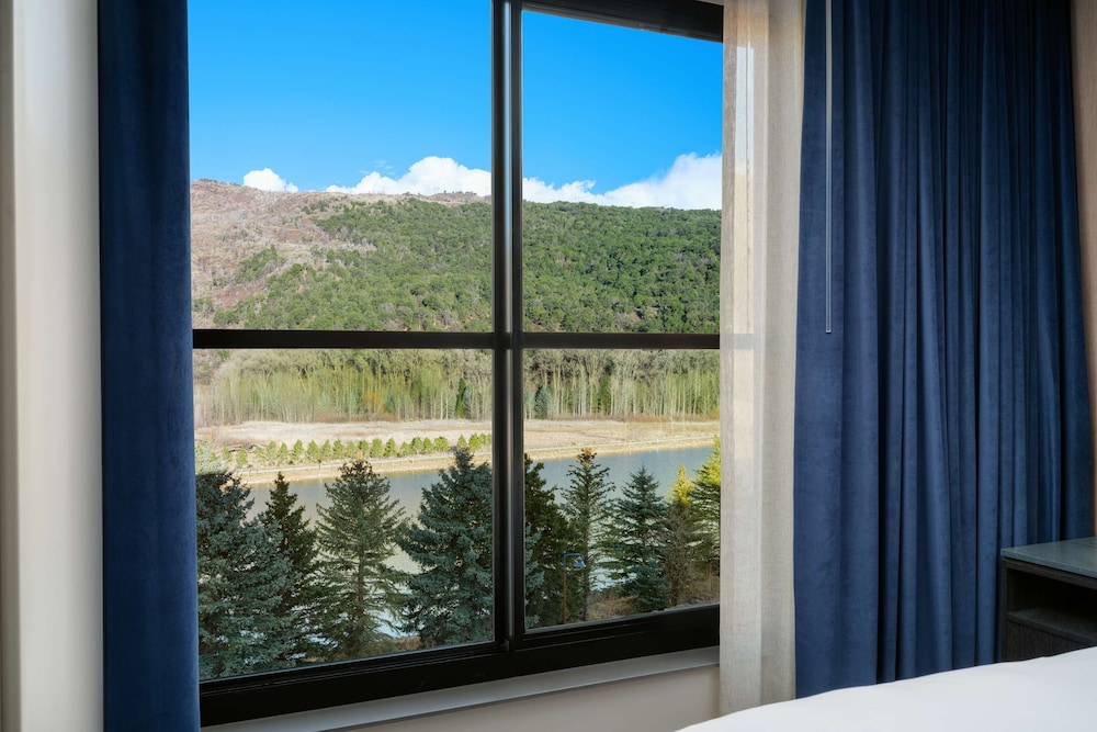 The Hoffmann Hotel Basalt Aspen Tapestry Collection by Hilton - photo 42