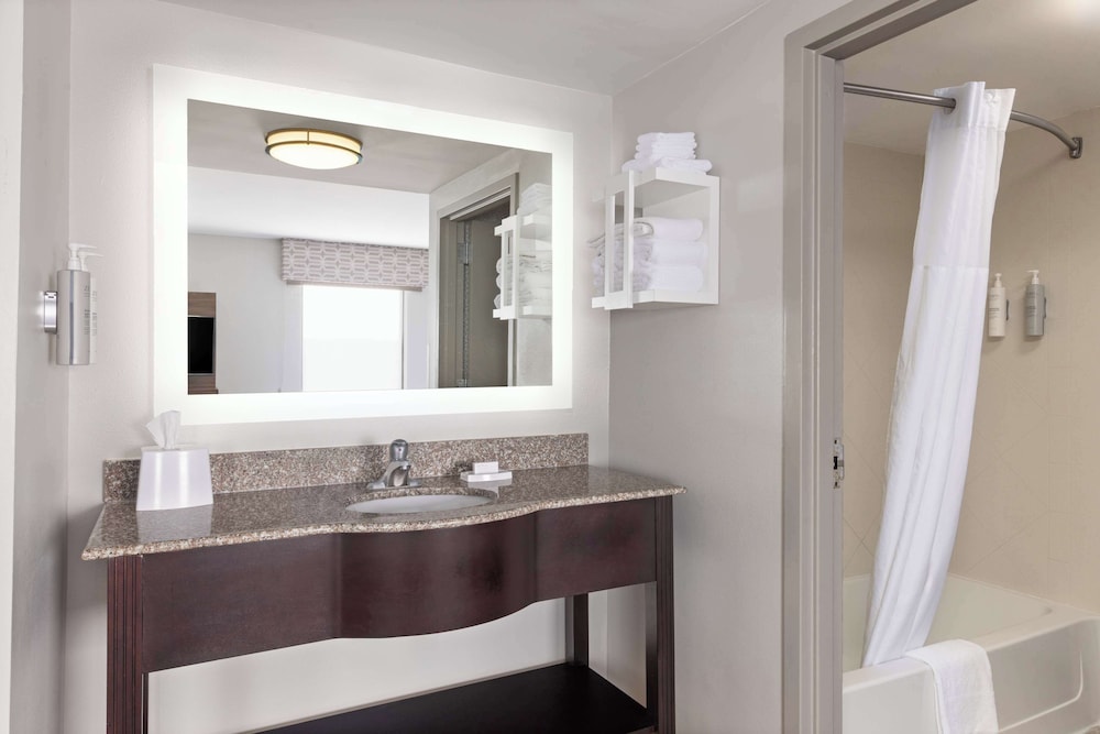 Hampton Inn & Suites Savannah Airport - photo 19