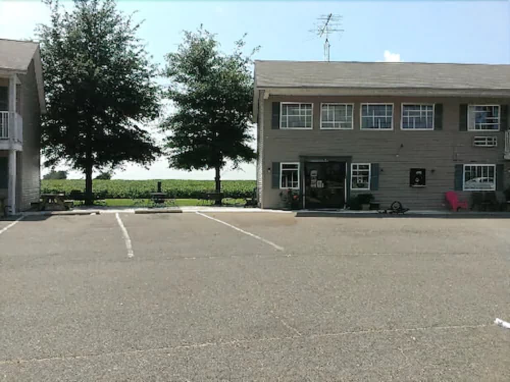 Reelfoot Lake Inn - photo 16