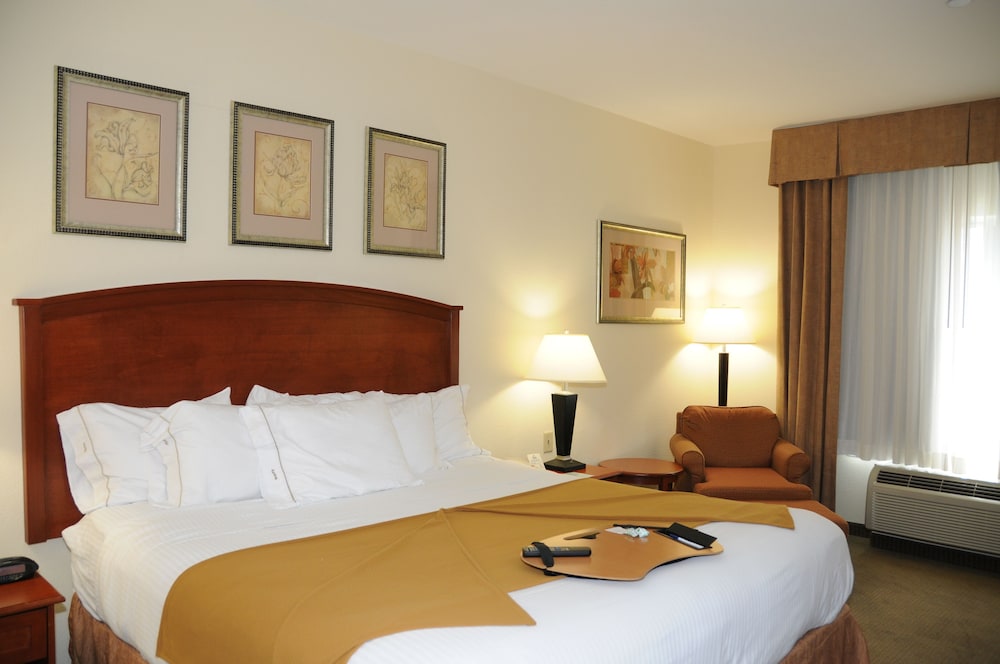 Holiday Inn Express Hotel & Suites Dallas Grand Prairie I 20 by IHG - photo 4