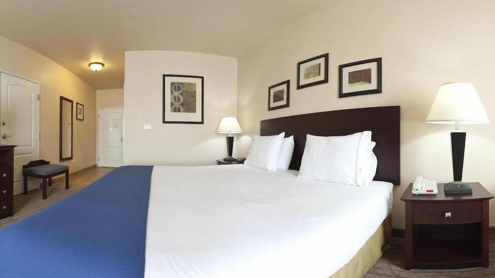 Holiday Inn Express & Suites Marshall by IHG - photo 8