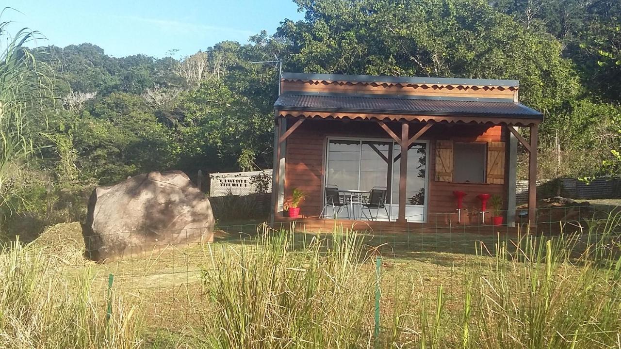 Prune de Coton in Unknown City, Guadeloupe