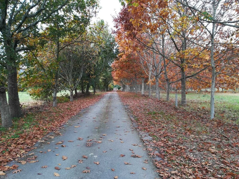 Quinta Grande Da Raposeira in Valenca, Portugal