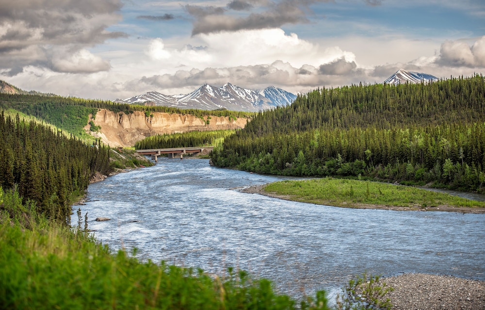 Denali Princess - photo 16