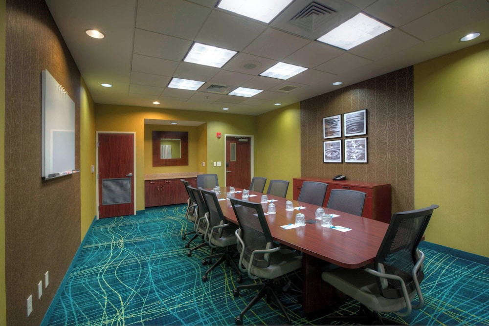 Springhill Suites by Marriott Tampa Brandon - photo 17