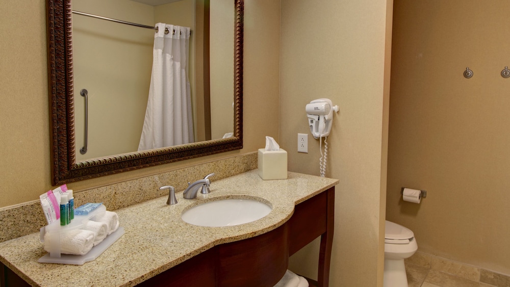 Holiday Inn Express & Suites Sioux City Southern Hills by IHG - photo 45