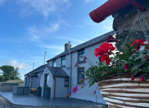 Cosy countryside cottage — 4-Star Luxury Hotel in Aberystwyth, United Kingdom