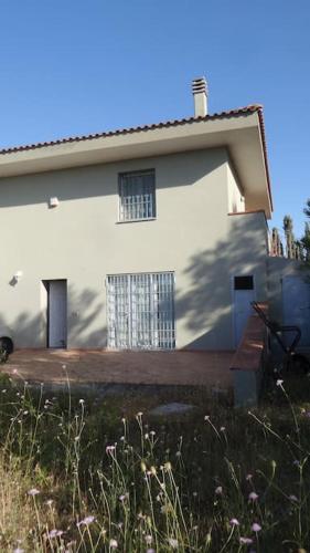 Dipladenia — Sassari — photo 2