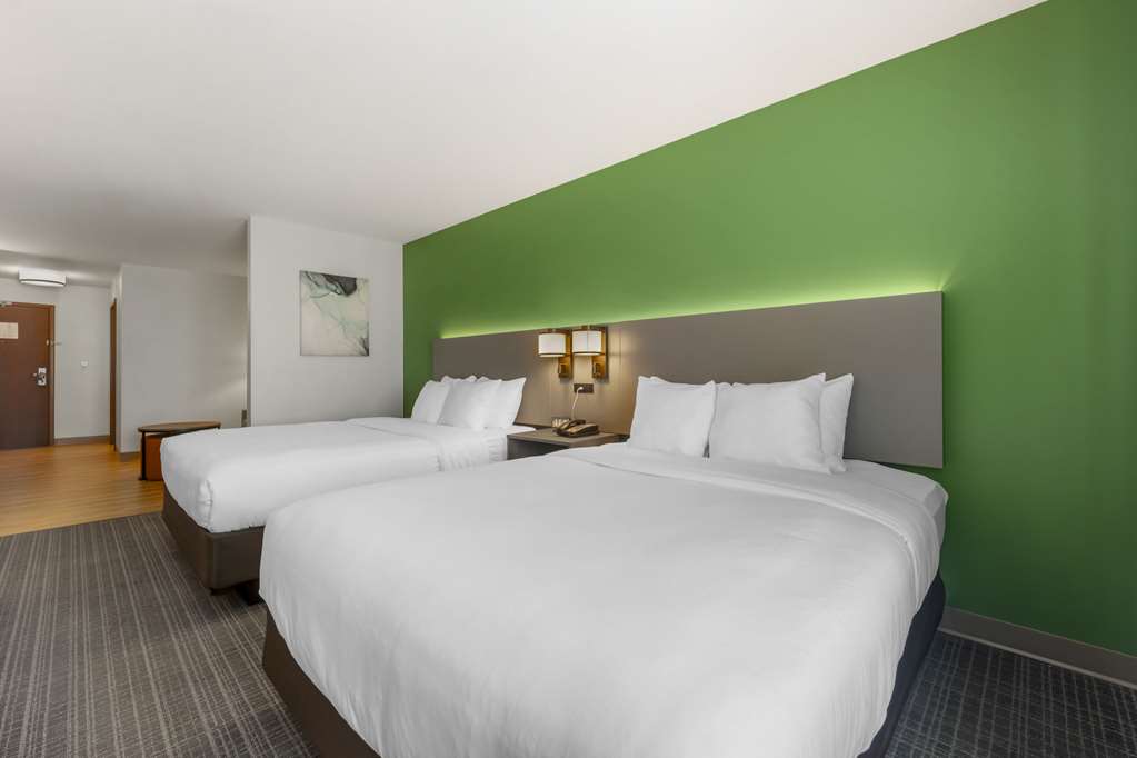 Comfort Suites Conference Center Rapid City - photo 13