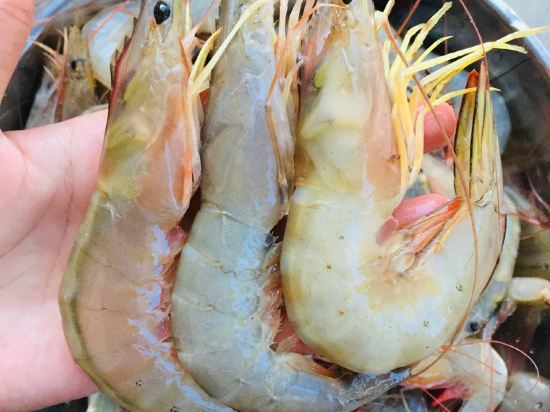 Island Feature Holiday Hotel in Taishan, People's Republic of China