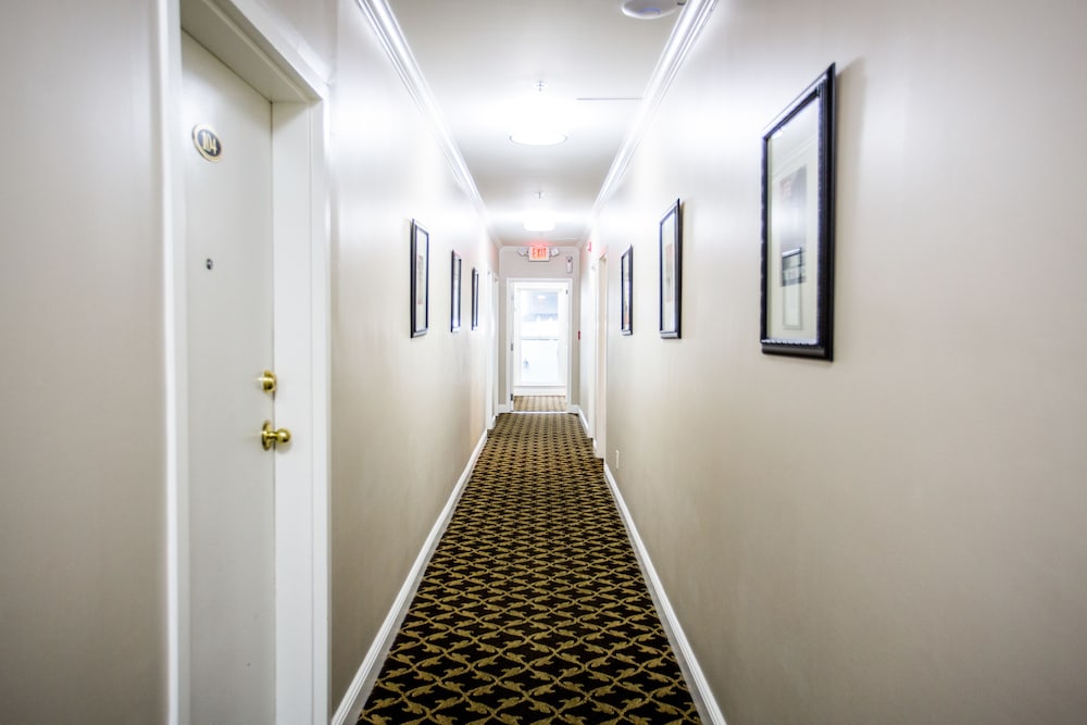 The Hotel Hollywood - photo 44
