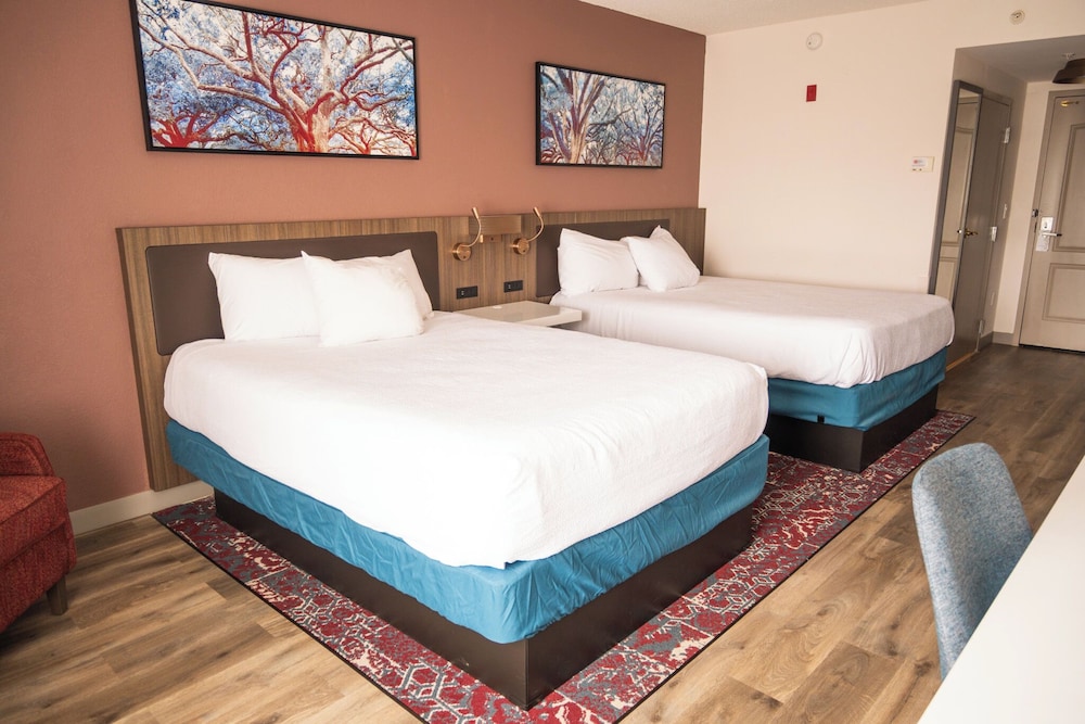 Hilton Garden Inn Hattiesburg - photo 10