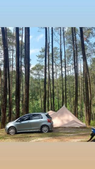 Lembah Pinus Cikole