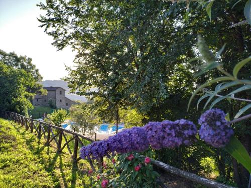 Selvadonica - carbon neutral hotel in Caprese Michelangelo
