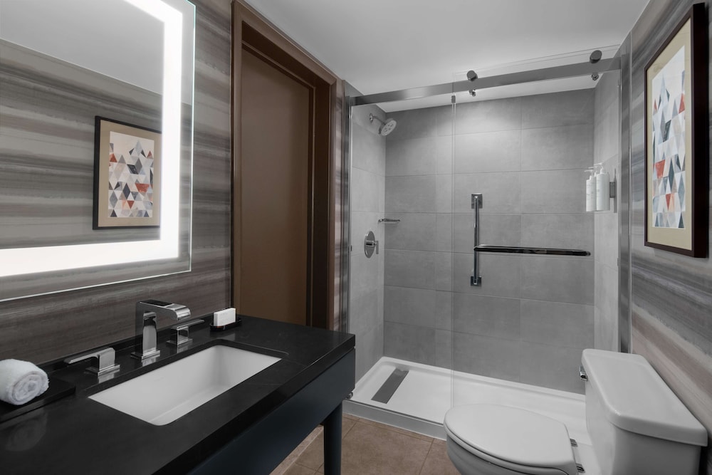 Embassy Suites by Hilton Phoenix Biltmore - photo 32