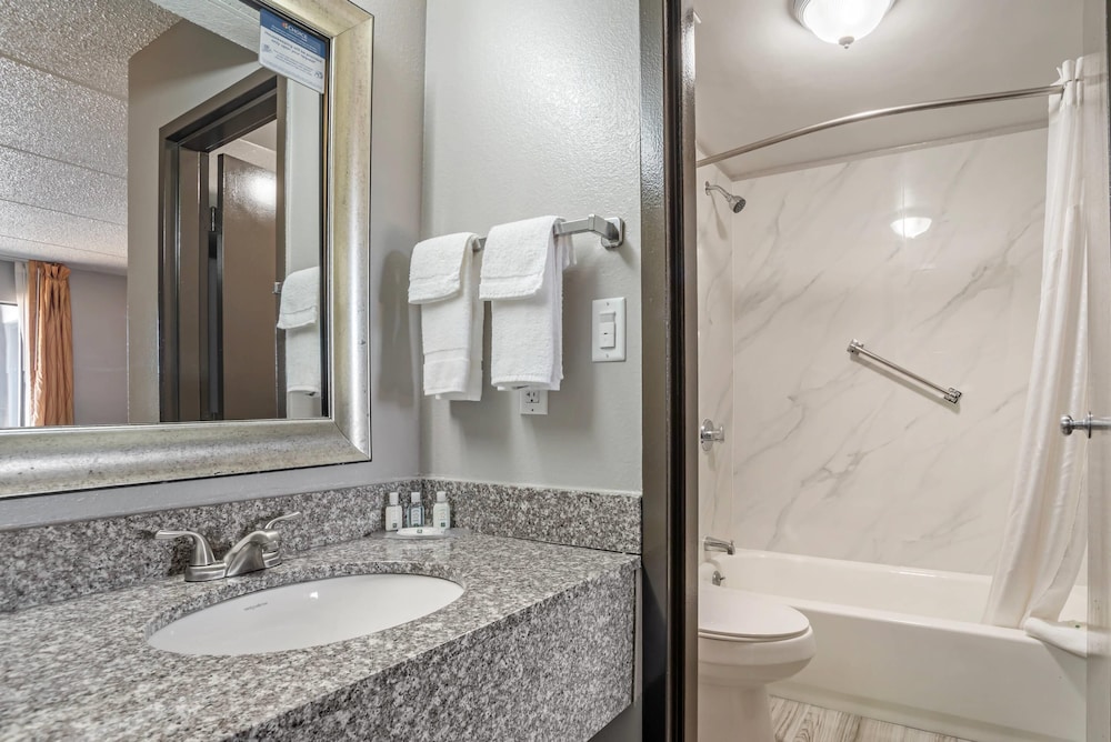 Quality Inn Simpsonville Greenville - photo 5