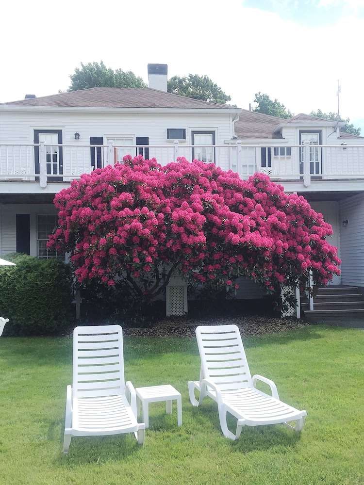 Shore Way Acres Inn - photo 11